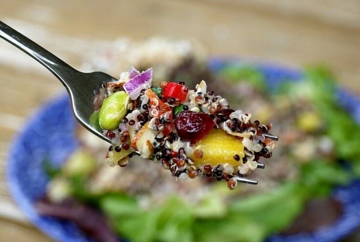 Fork full of quinoa, edamame, mango, and other salad components.