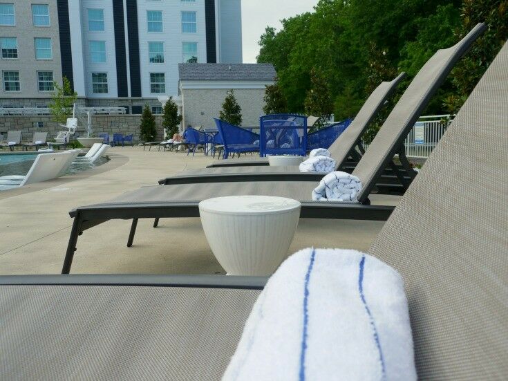 Lounging by the Pool 