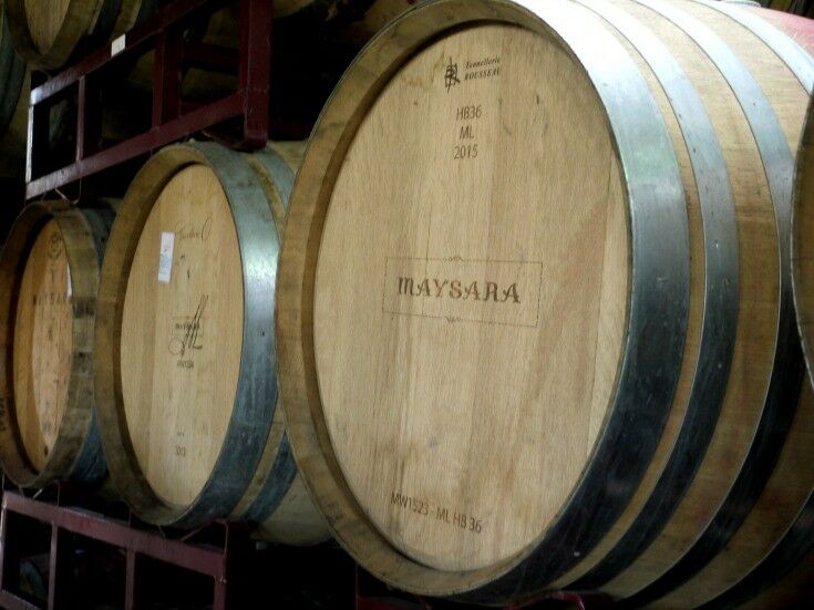 Wine barrels on a shelf. 