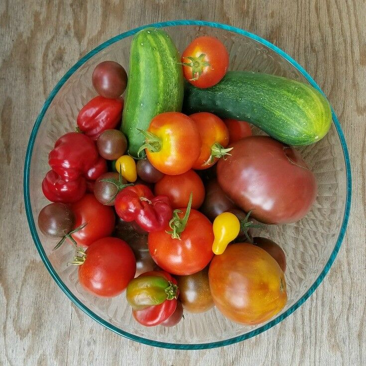 Glass bowl filled with tomatoes, peppers, and cucumbers. 