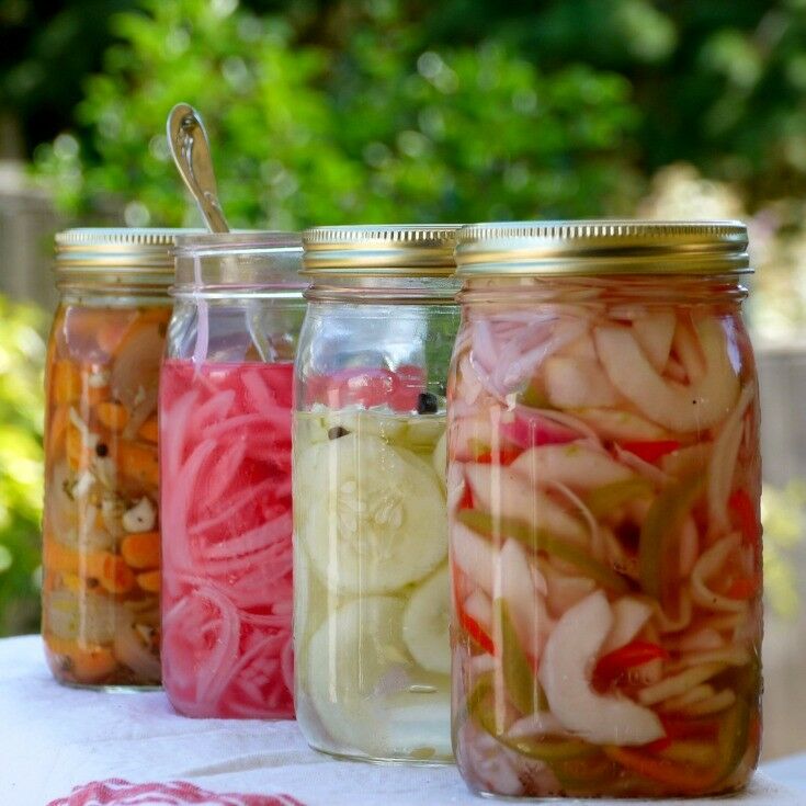 Quick Refrigerator Pickle Recipes | The Good Hearted Woman