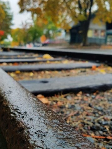Close-up of old train tracks with fall colors in the background.