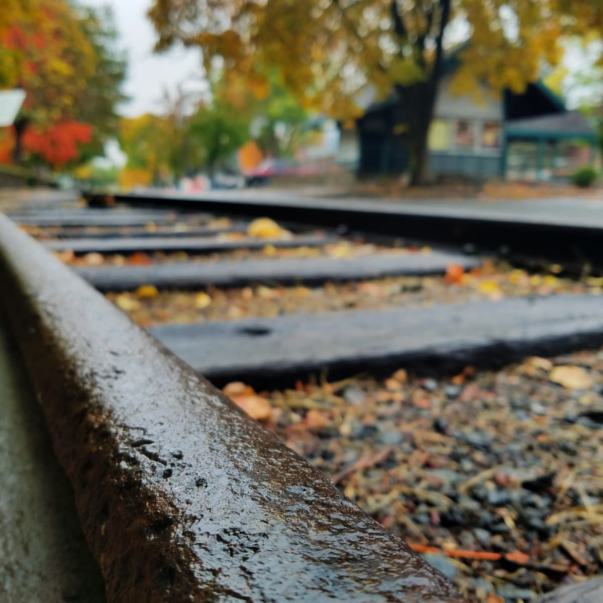 Close-up of old train tracks with fall colors in the background. 