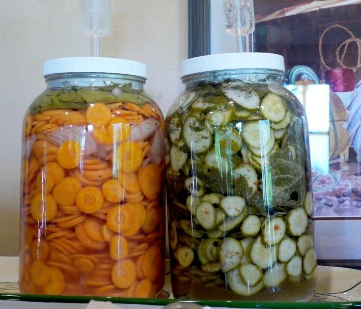 Carrots and pickles in two very large pickling jars. 