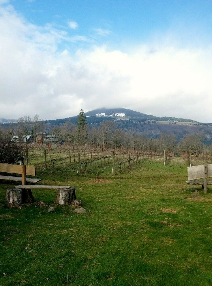 Winery - Columbia River Gorge Getaway - Hood River Oregon | The Good Hearted Woman