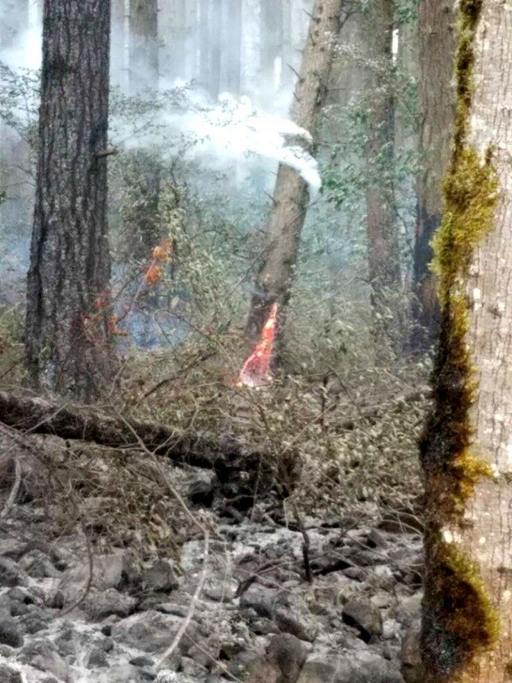Columbia River Gorge - Eagle Creek Fire Images | The Good Hearted Woman
