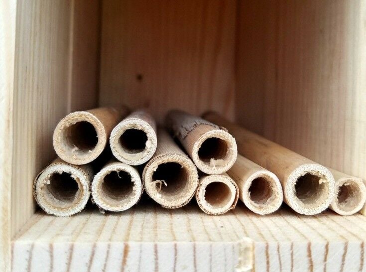 Mason Bee Cottage - Raising Mason Bees {Photo Credit: BeSpoke Bee Supply} | The Good Hearted Woman