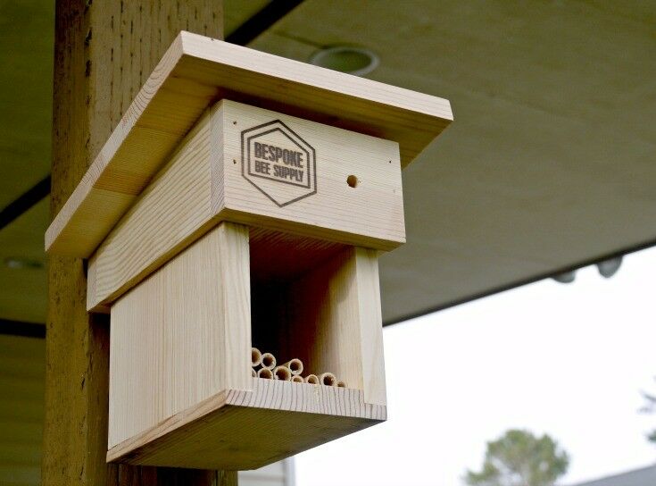 Mason Bee Cottage - Raising Mason Bees {Photo Credit: BeSpoke Bee Supply} | The Good Hearted Woman