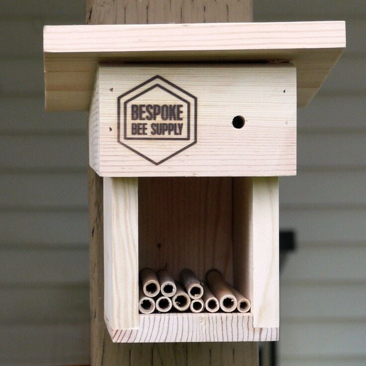 Mason Bee Cottage - Raising Mason Bees {Photo Credit: BeSpoke Bee Supply} | The Good Hearted Woman