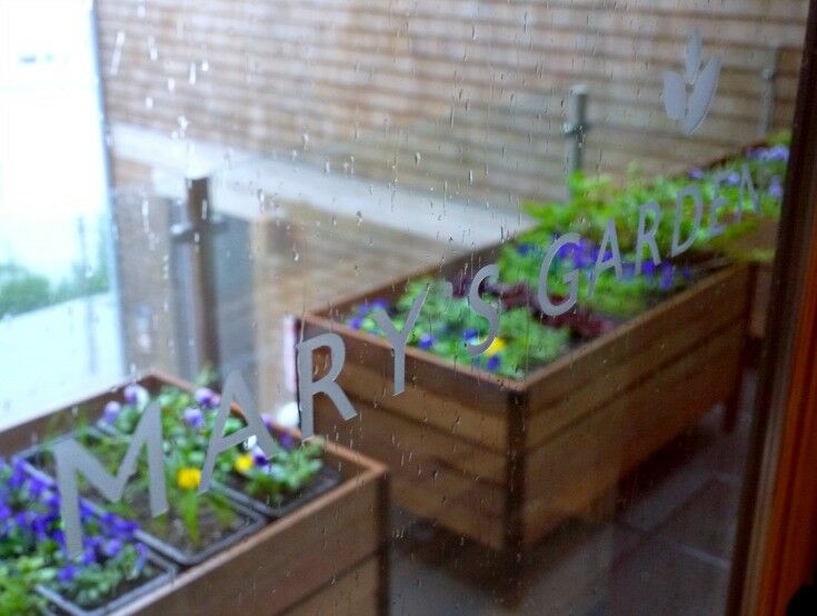 Looking out window onto kitchen garden with raised boxes growing various herbs on patio. 