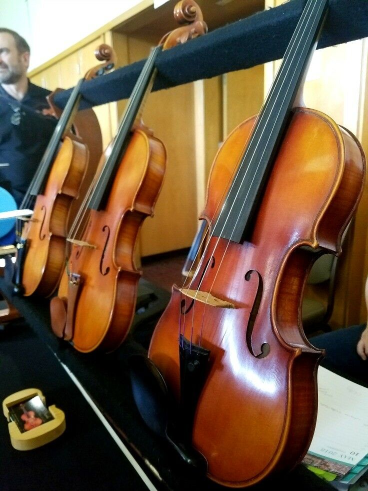 Three violas lined up on a rack.