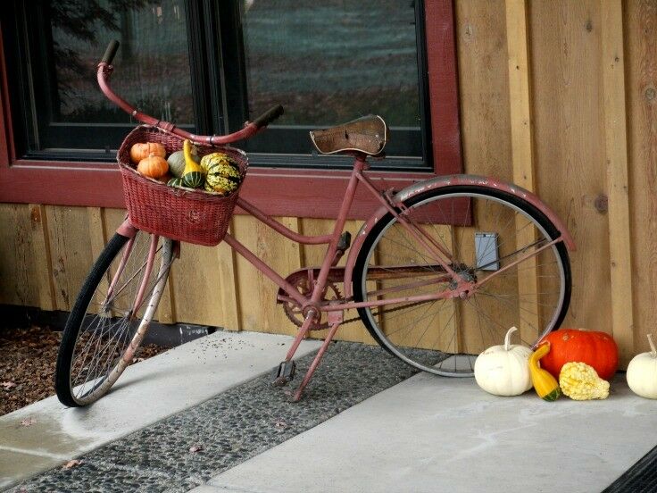 Red Lily Vineyards - old bicycle with squashes in basket. 