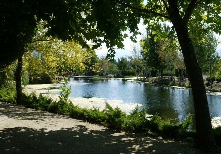 Schmidt Family Vineyards pond and path.