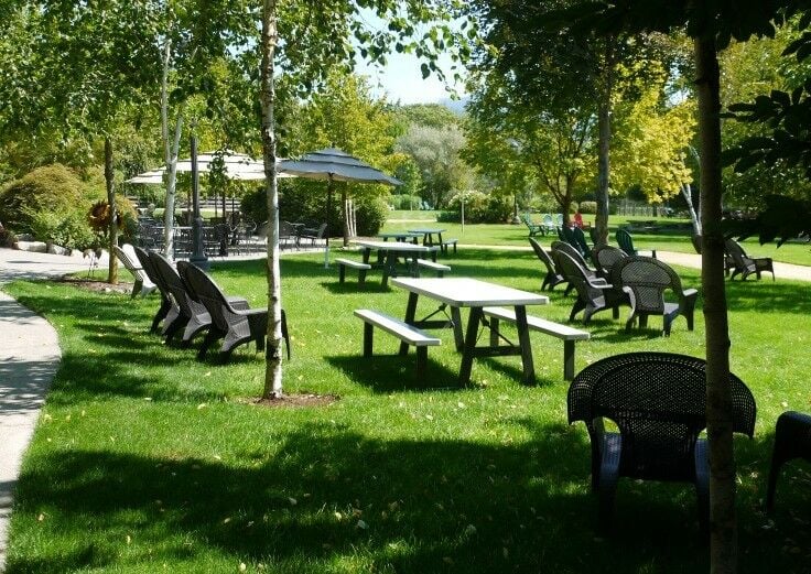 picnic tables at vineyard