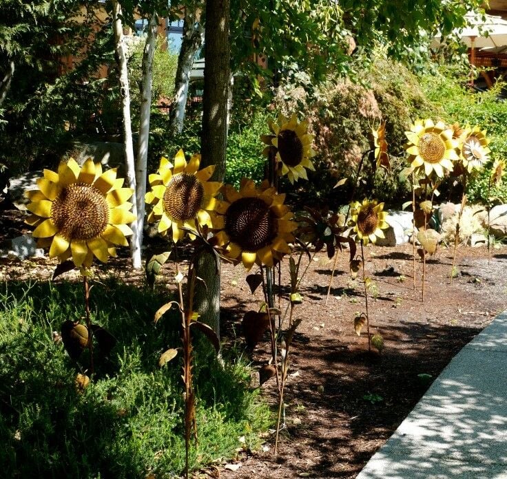 Metal sunflowers in a row