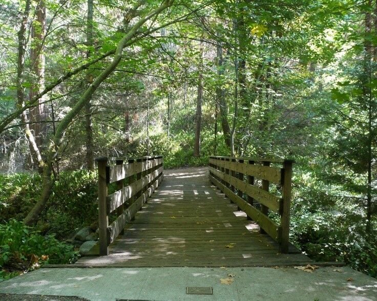 Wooden foot bridge across the stream in Lithia Park. 