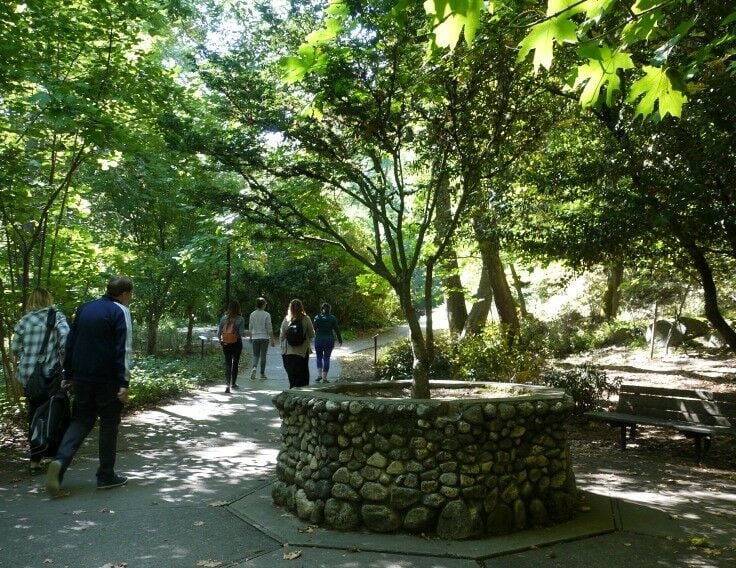 People on the walking paths in Lithia Park. 
