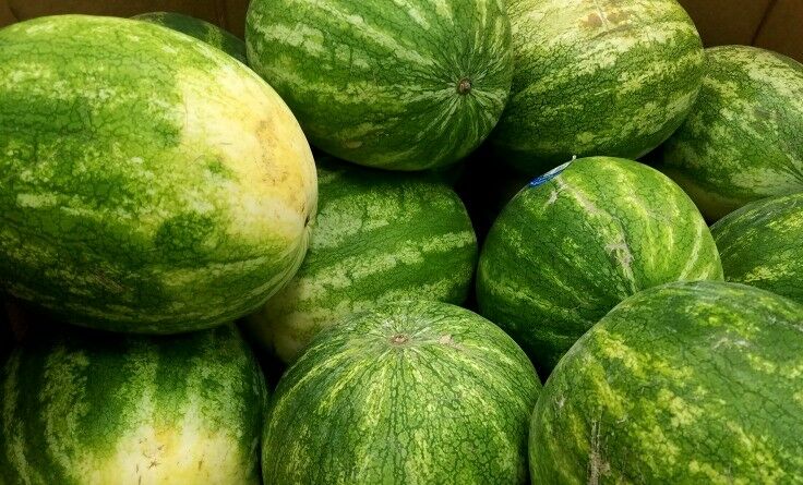 Pile of watermelons