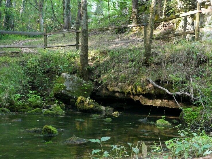 Buzzard Roost Spring 