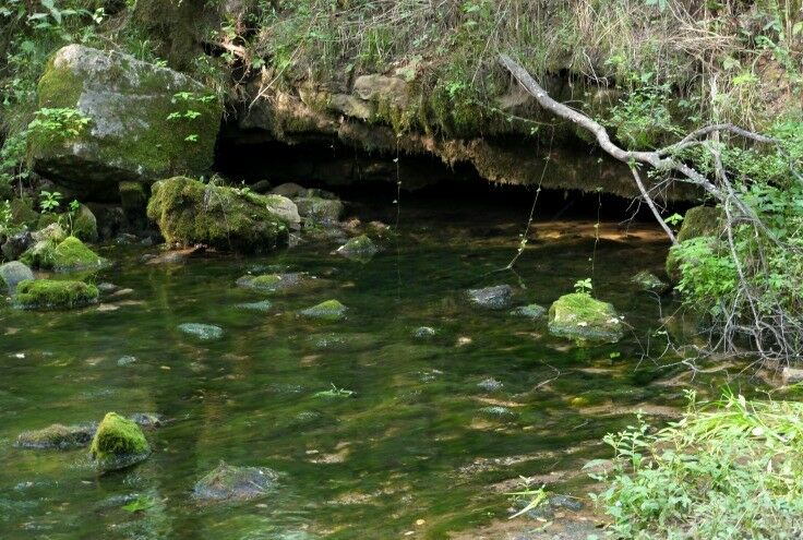 Buzzard Roost Spring