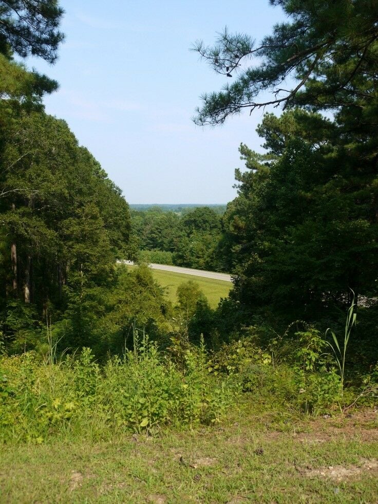 Twentymile Bottom Overlook - Day Trip from Memphis 