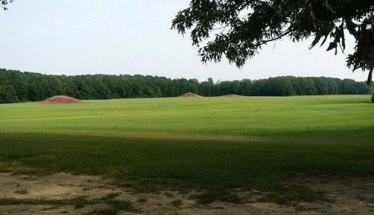 Pharr Mounds - Natchez Trace Parkway