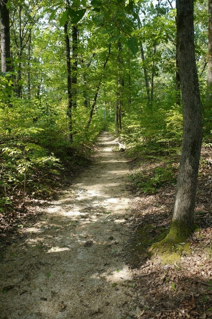 Trail on the Natchez Trace, Mile 269.4