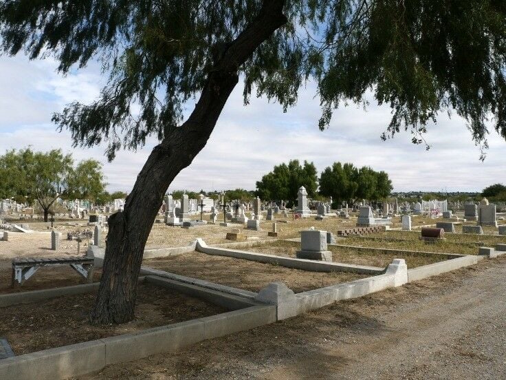 Large shade tree in foreground; many tombstones of various sizes and shapes behold. 