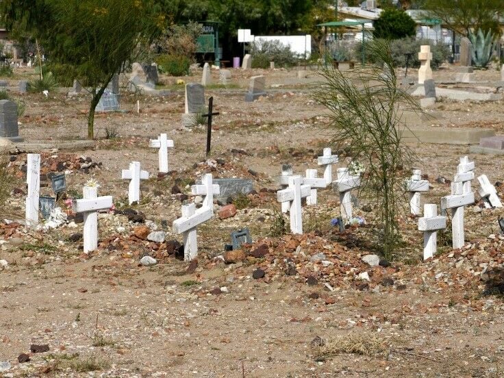 Many small, white wooden crosses in ground, most askew. 