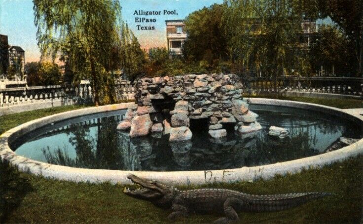 Alligator Pool, San Jacinta Plaza, El Paso, Texas [postcard, circa 1913]