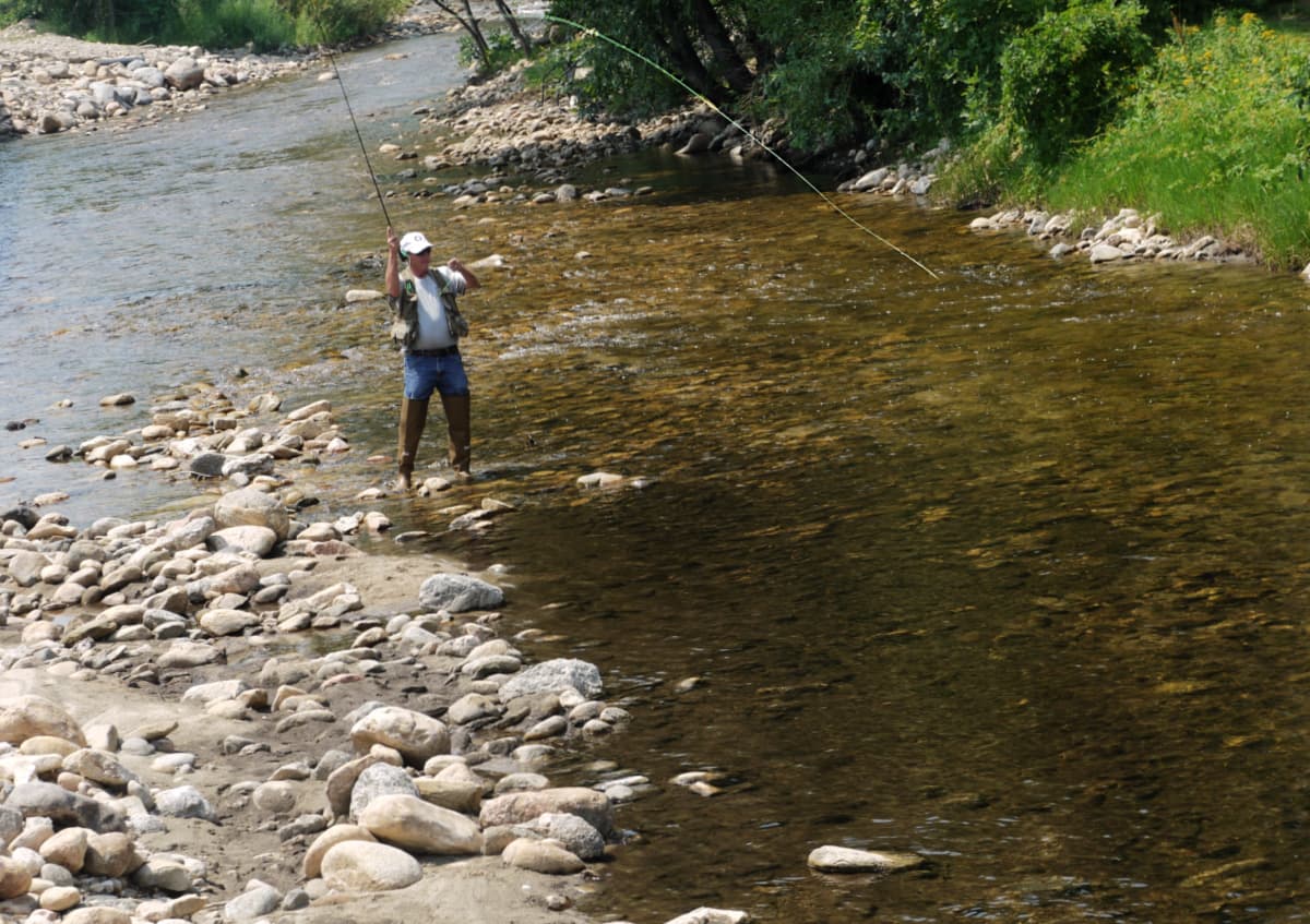 Man wearing hip-waders, fly-fishing in a wide, shallow creek. 