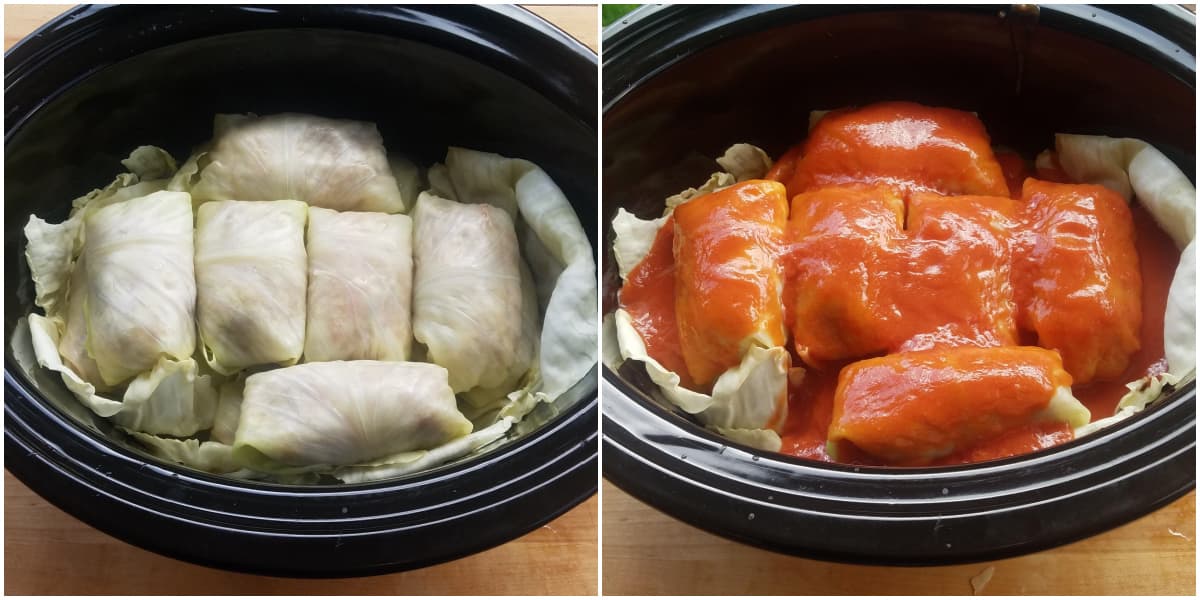 Cabbage rolls in a slow cooker, uncooked and covered with sauce.