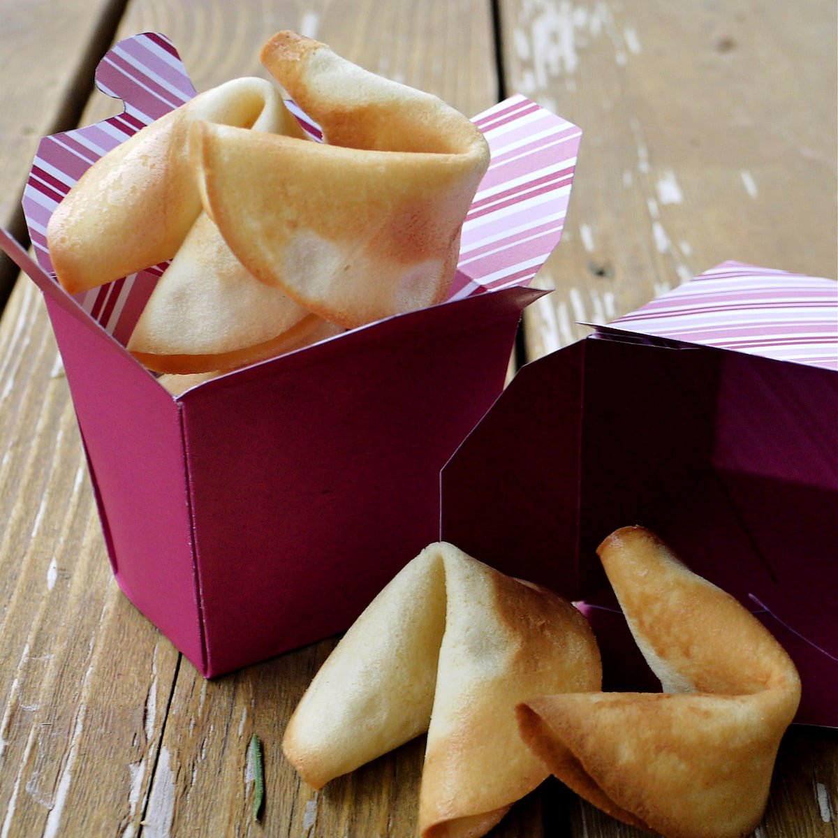 Fresh fortune cookies in a maroon and pink Chinese takeout box.