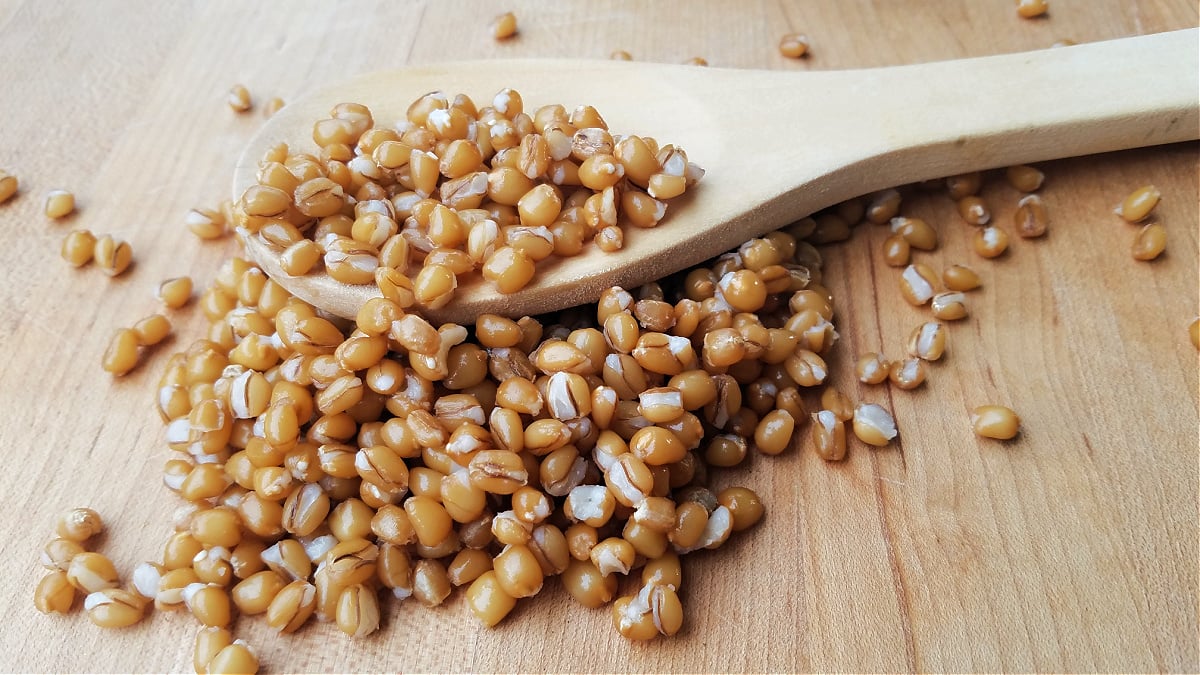 Cooked wheat berry kernels with a wooden spoon on a cutting board.