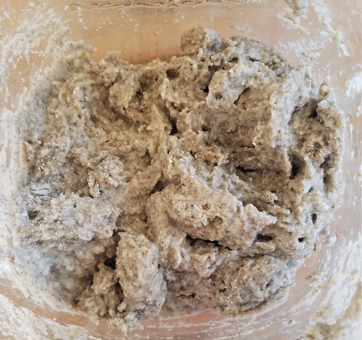 Newly mixed 100% hydration sourdough starter looks like thick cookie dough. 