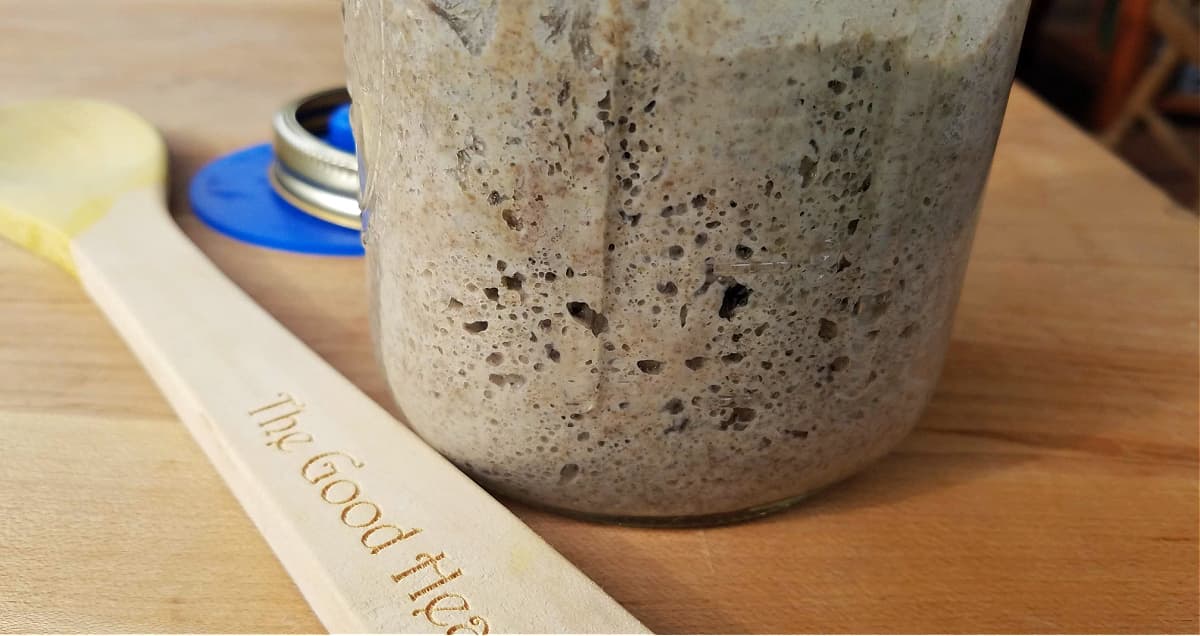 Rye sourdough starter in mason jar, with tiny bubbles forming.