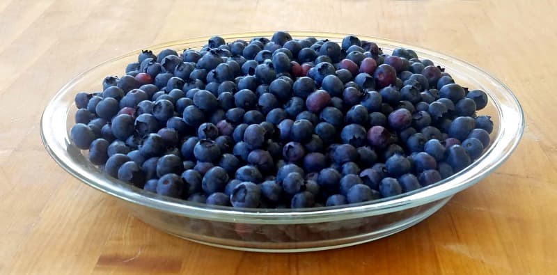 Blueberries piled in large pie dish, rounded at top. 