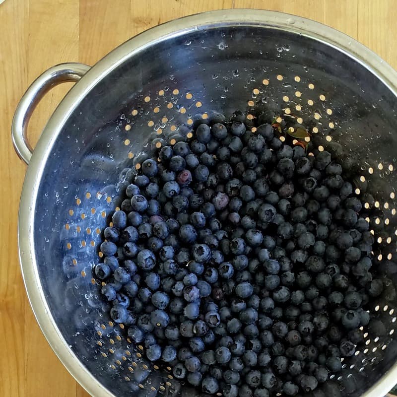 blueberries in colander