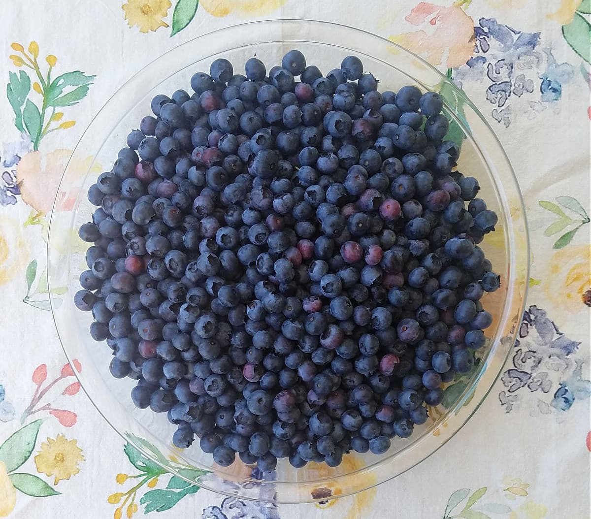 Overhead shot of a large glass pie dish filled with fresh blueberries.