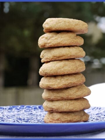 Eight snickerdoodle cookies stacked vertically on a blue plate.