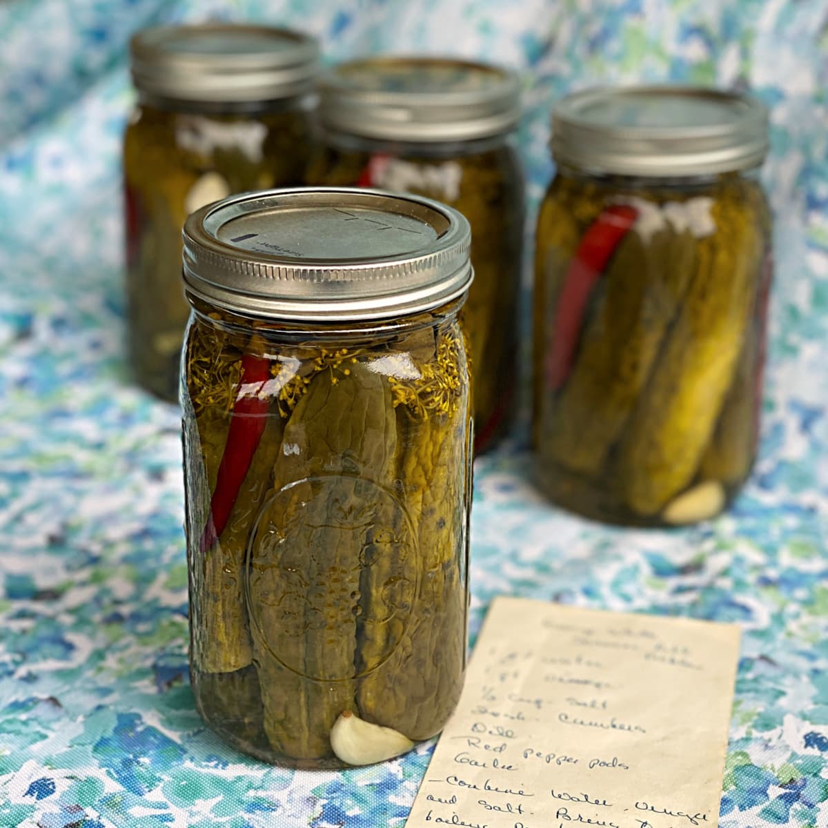 Four jars of processed spicy dill pickles, ready for the shelf. Old handwritten recipe in the foreground. 