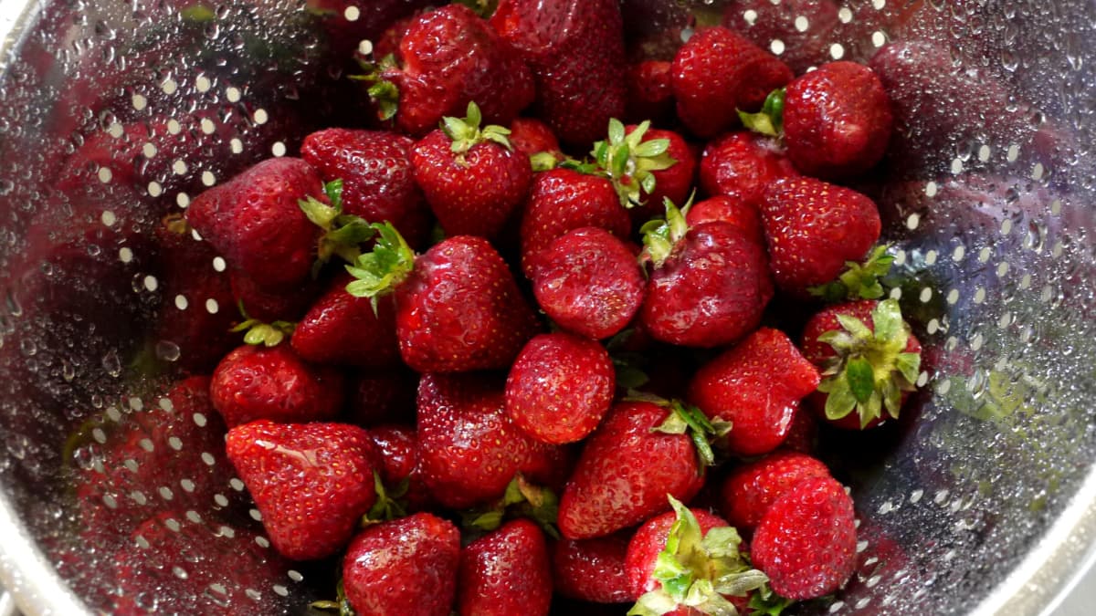 fresh strawberries in a colander