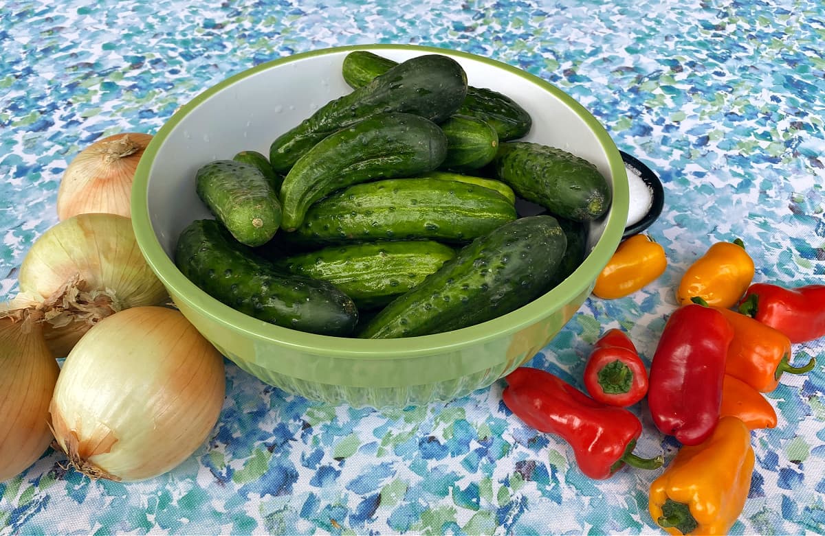 Photo of vegetables that go into this Bread & Butter Pickles recipe.