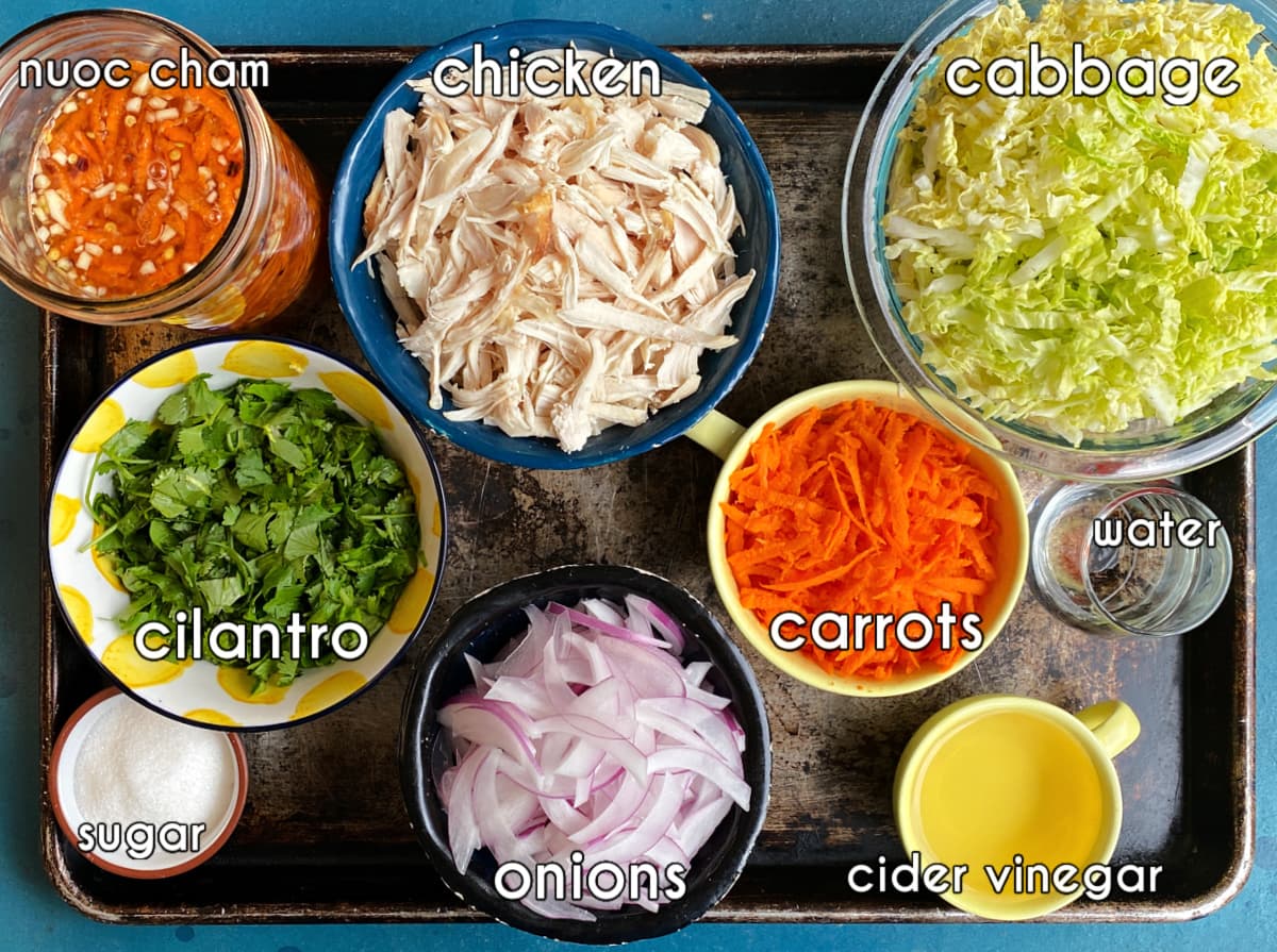 Vietnamese Chicken Salad ingredients, labeled: chicken, cabbage, carrots, onions, vinegar, sugar, water, cider vinegar, nuoc cham.
