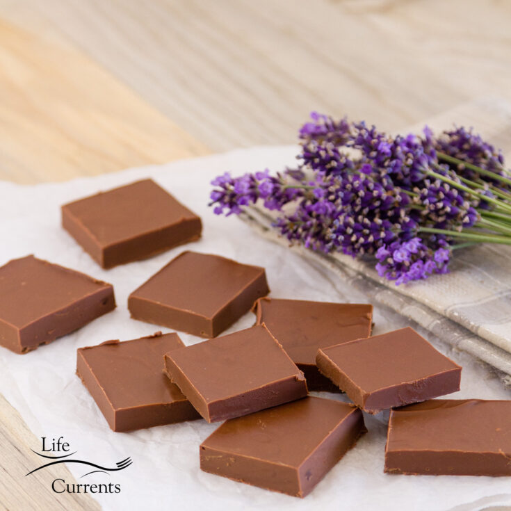 Image for Peanut Butter Chocolate Fudge