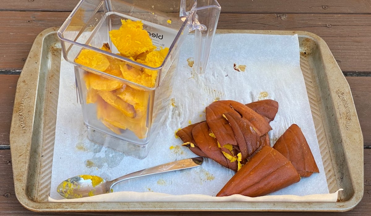 Cooked pumpkin scraped into a blender. 