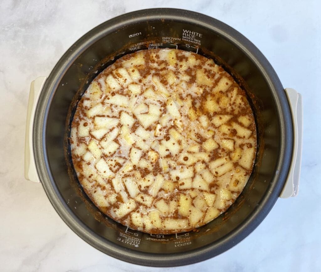 Rice Cooker Steel Cut Oats with Apples & Cinnamon • The Good Hearted Woman