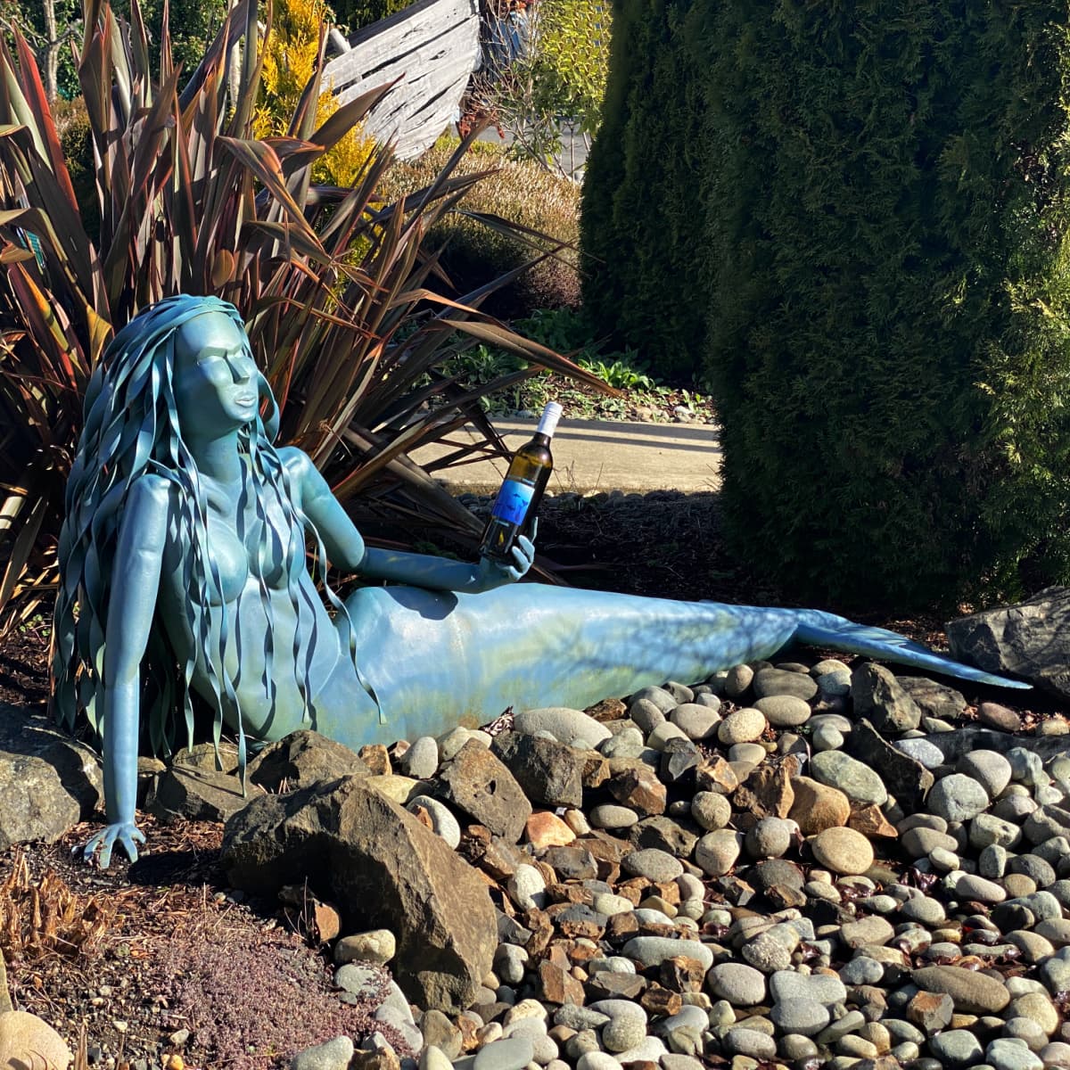 Metal sculpture of a mermaid, resting on a bed of river rocks and holding a bottle of wine. 