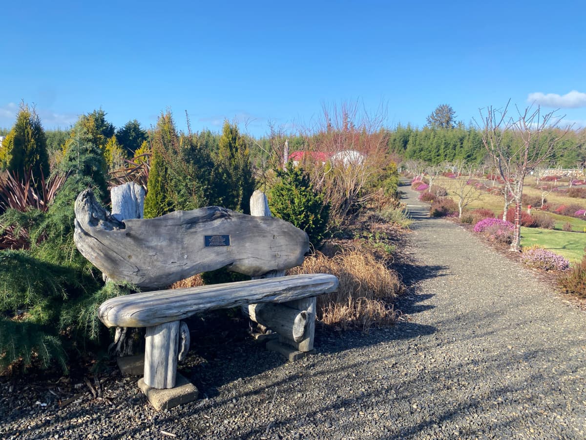 Bench made from driftwood, near path in large garden space. 