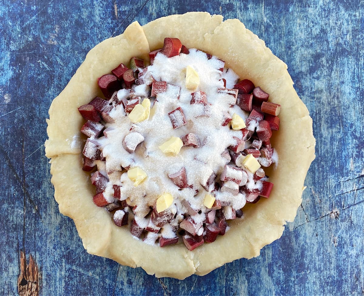 Rhubarb pie filling in pie shell, without a top crust.